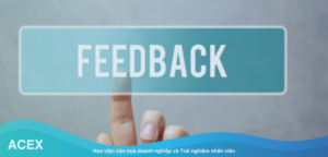 feedback nhân viên thế nào cho hiệu quả