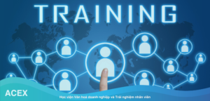 Các yếu tố ảnh hưởng đến chất lượng đào tạo nhân sự